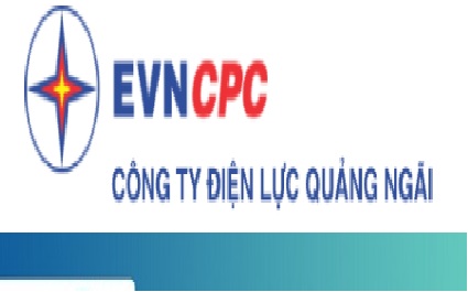 Công ty điện lưc Quảng Ngãi tuyển dụng